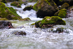 Running water with moss on rocks